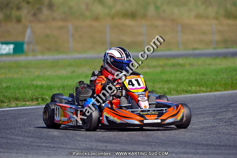 DSC_ (1292).jpg